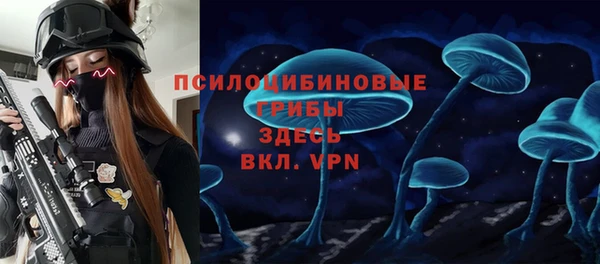 круглые Инсар