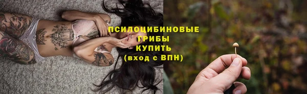 круглые Инсар
