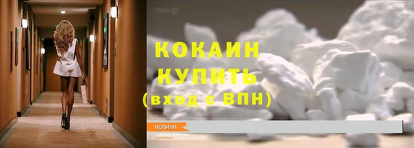 прущий лед Каменка
