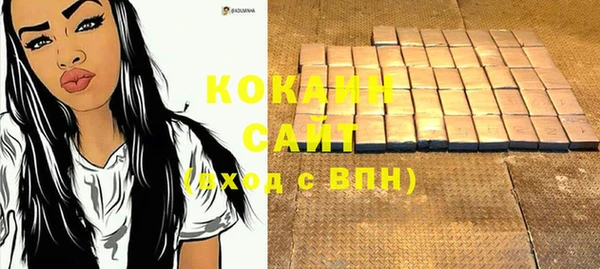 прущий лед Каменка