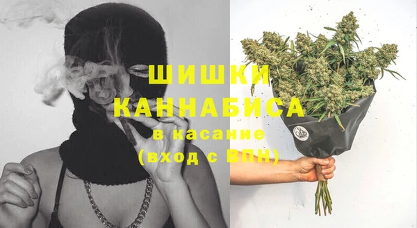 молекула духа Магадан