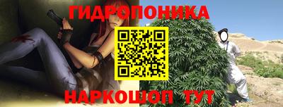 скорость Гагарин