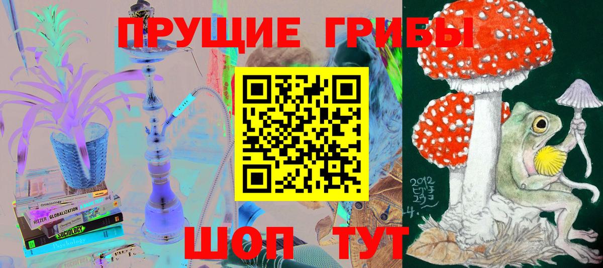 Галлюциногенные грибы Psilocybine cubensis  Вход с VPN  Электросталь 